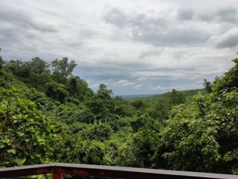 Phaladhara Panchadhara-3